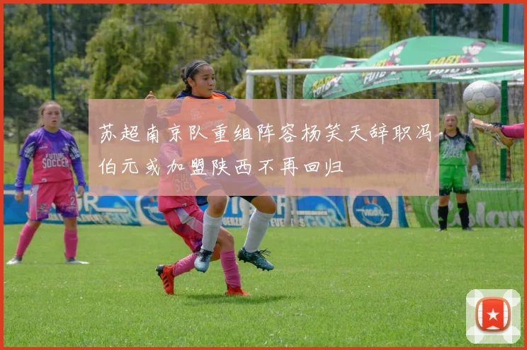 苏超南京队重组阵容杨笑天辞职冯伯元或加盟陕西不再回归