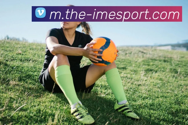 IM电竞服务体系